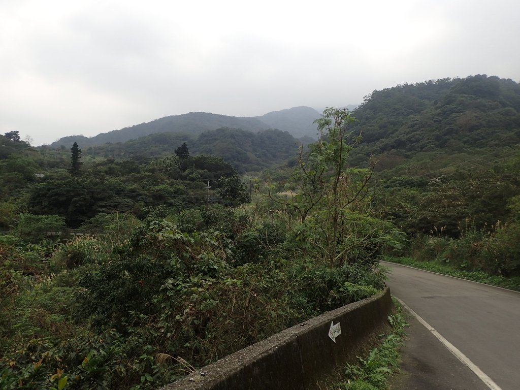 P1263957.JPG - 金山  大路崁古道