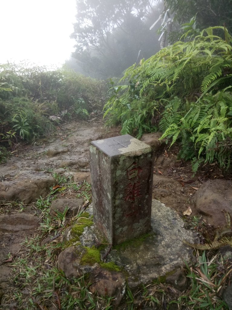 DSC_6255.JPG - 三峽  白雞山登山步道