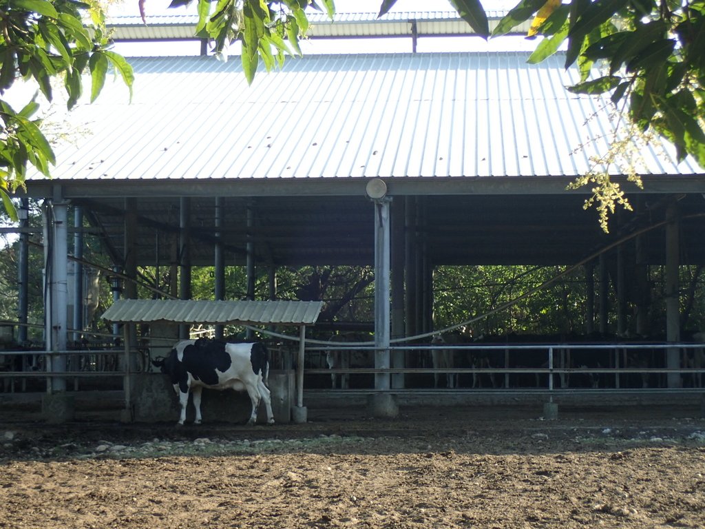 PA246540.JPG - 台中  東海大學校園巡禮