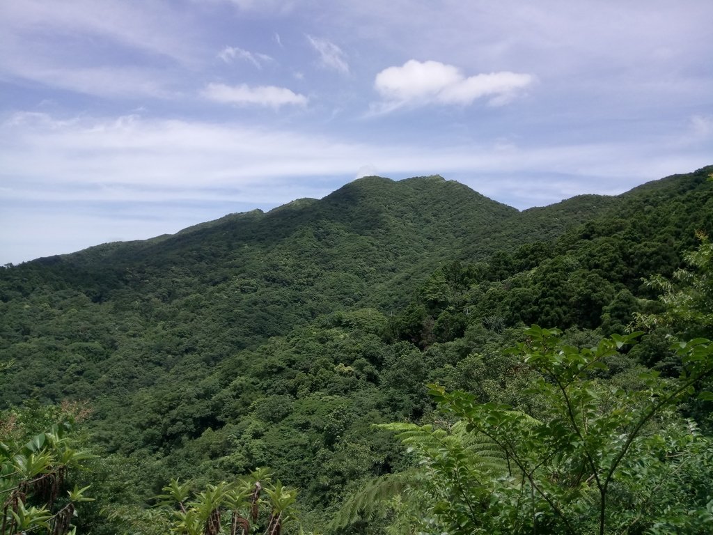 DSC_3156.JPG - 淡蘭古道之  坪溪段