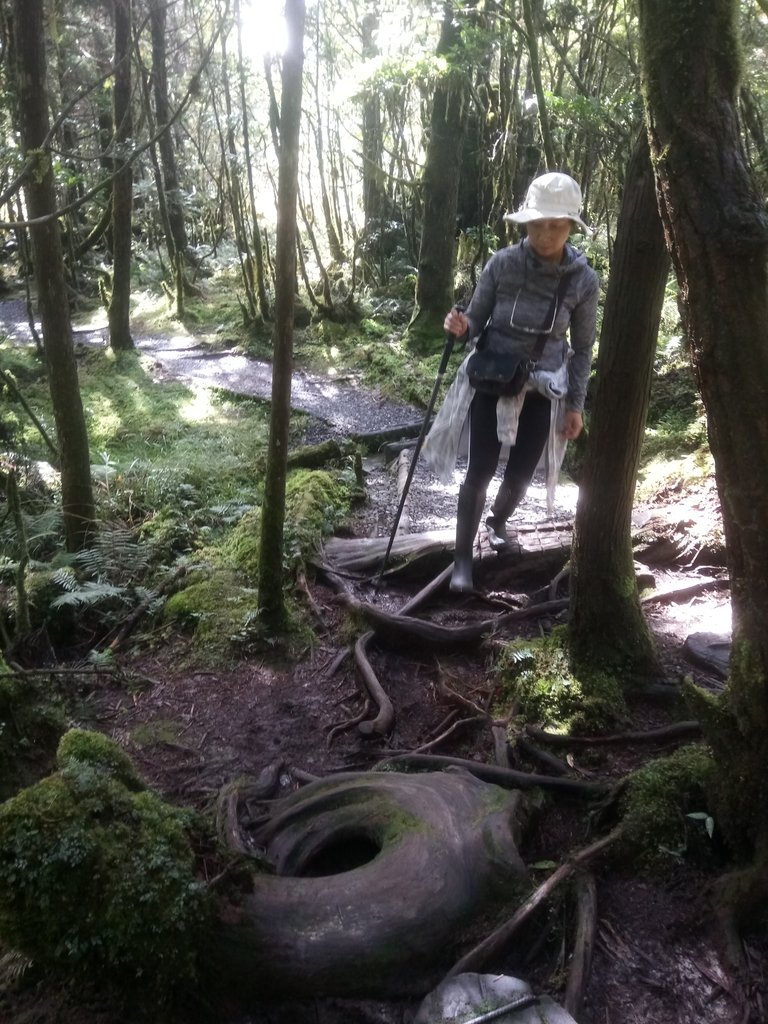 DSC_0091.JPG - 太平山  翠峰湖環山步道  01