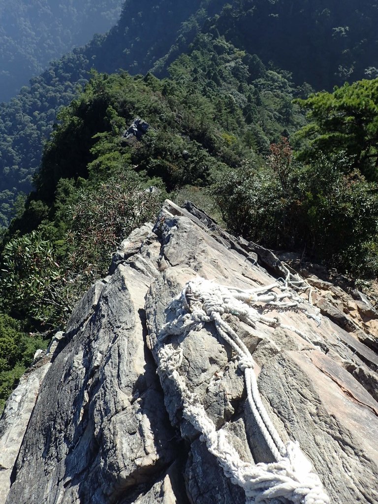 PA185542.JPG - 再訪---  台中  和平  鳶嘴山