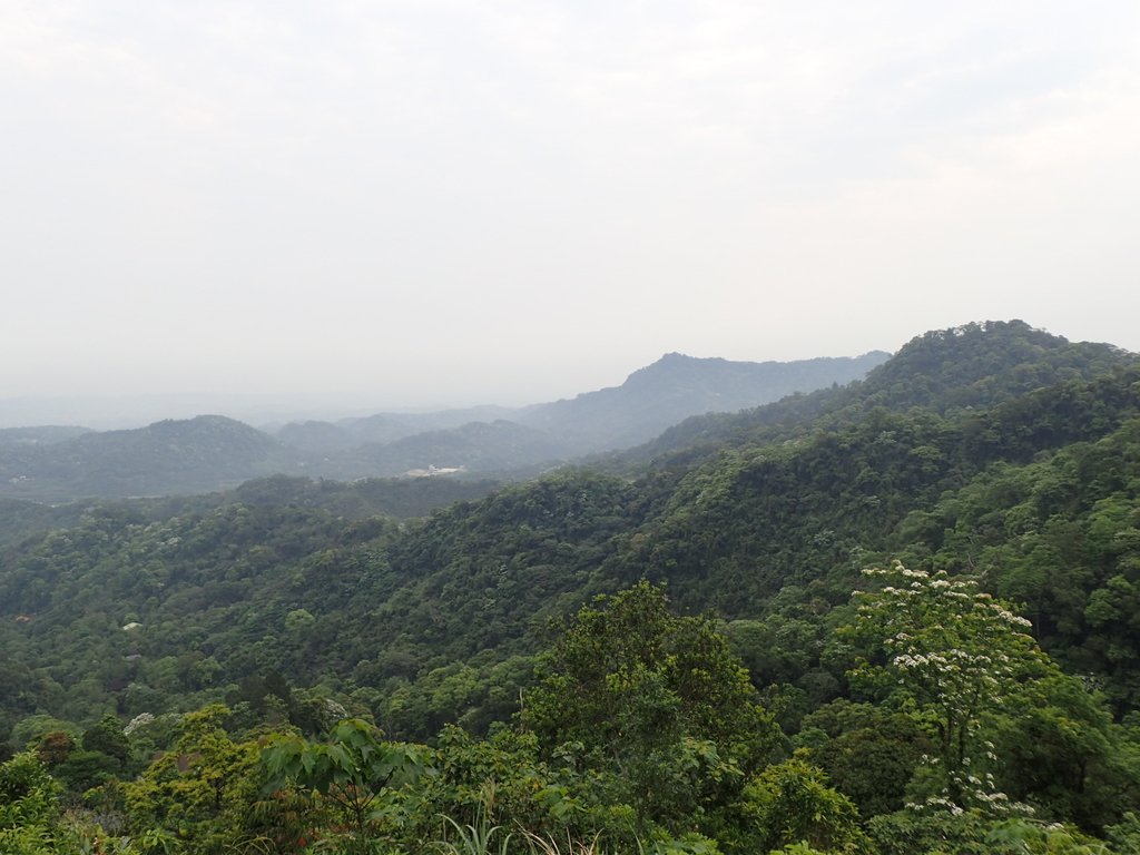 P4191882.JPG - 南庄  細湖頂  晴園山莊