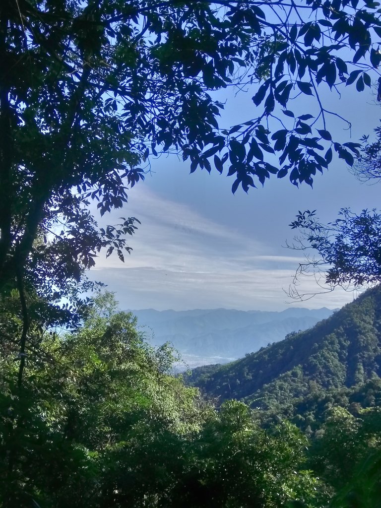 DSC_3773.JPG - 魚池  水社大山