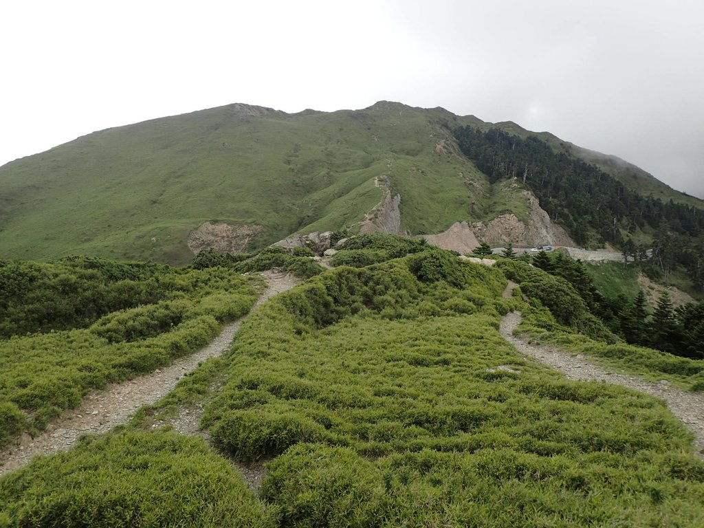 P7246069.JPG - 石門山步道