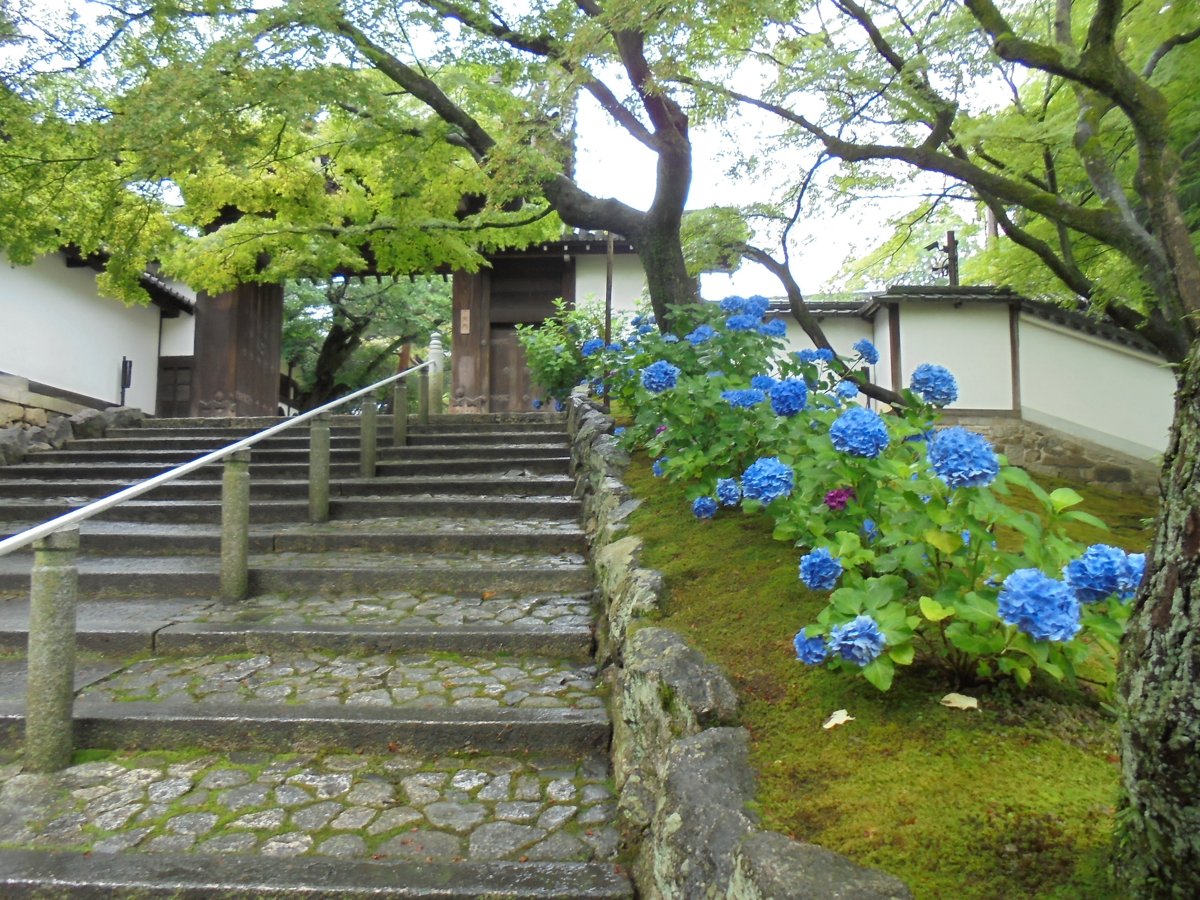 DSC04058.JPG - 京都  華頂山  知恩院