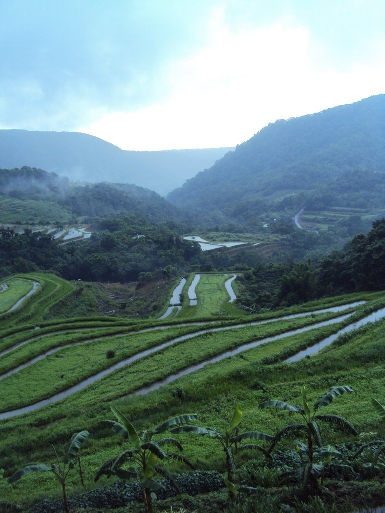 DSC09104.JPG - 石門  嵩山梯田之美