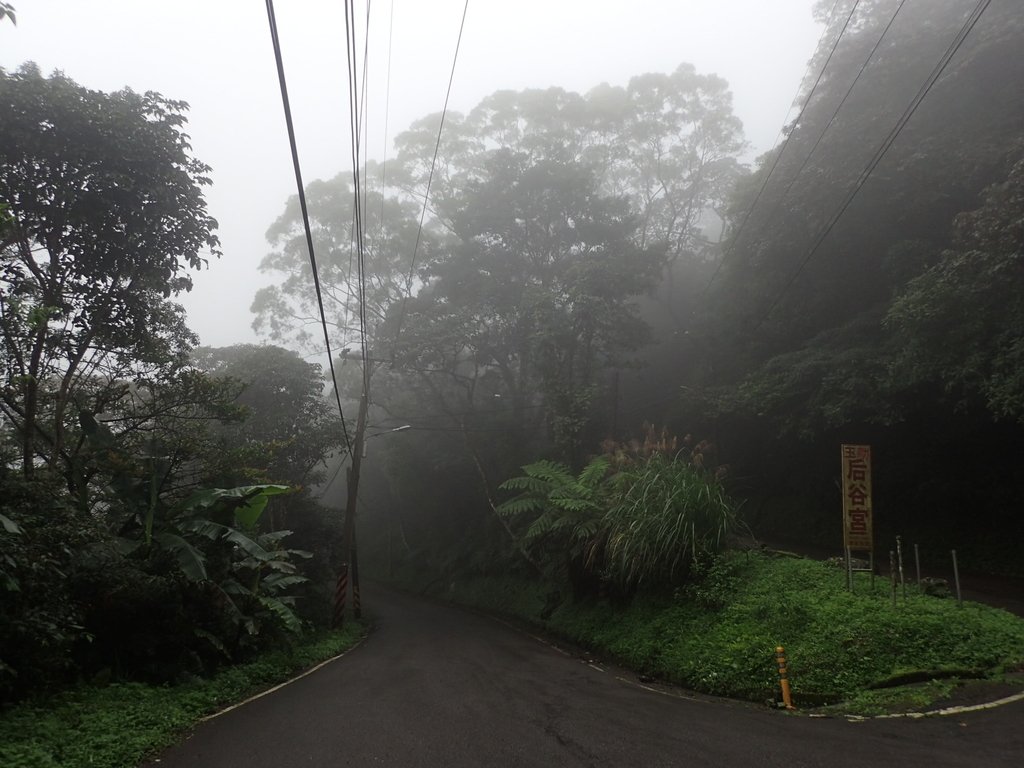 P1132732.JPG - 新店  獅子頭山隘勇線  01