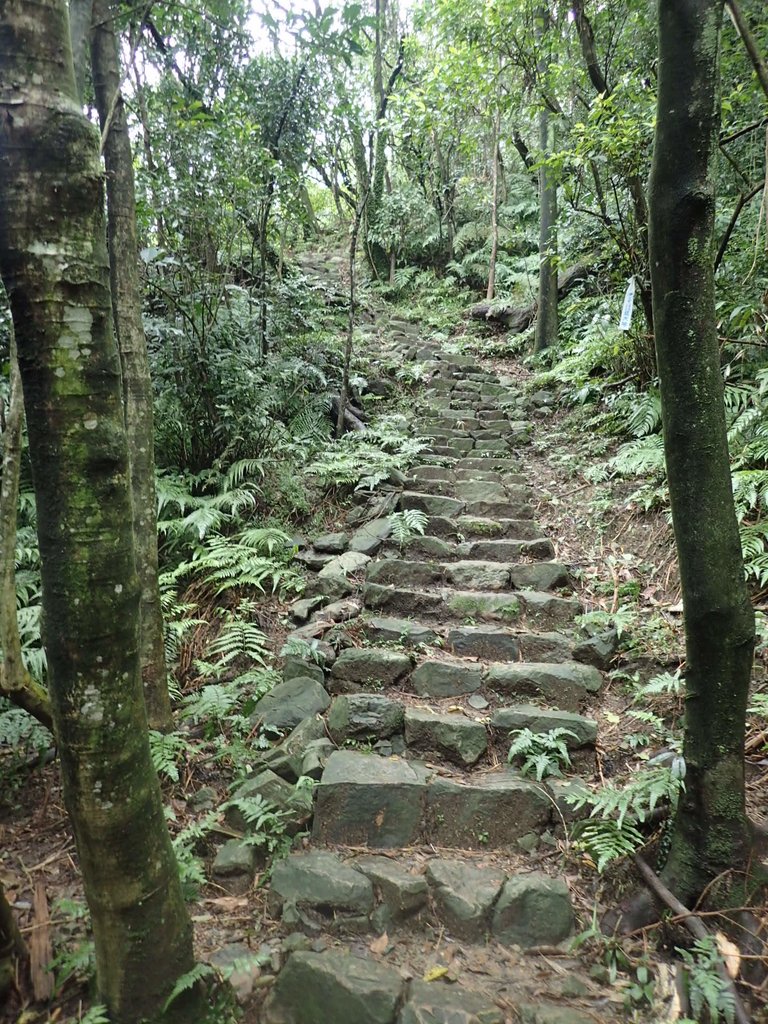 P1274369.JPG - 瑞芳  燦光寮古道初探