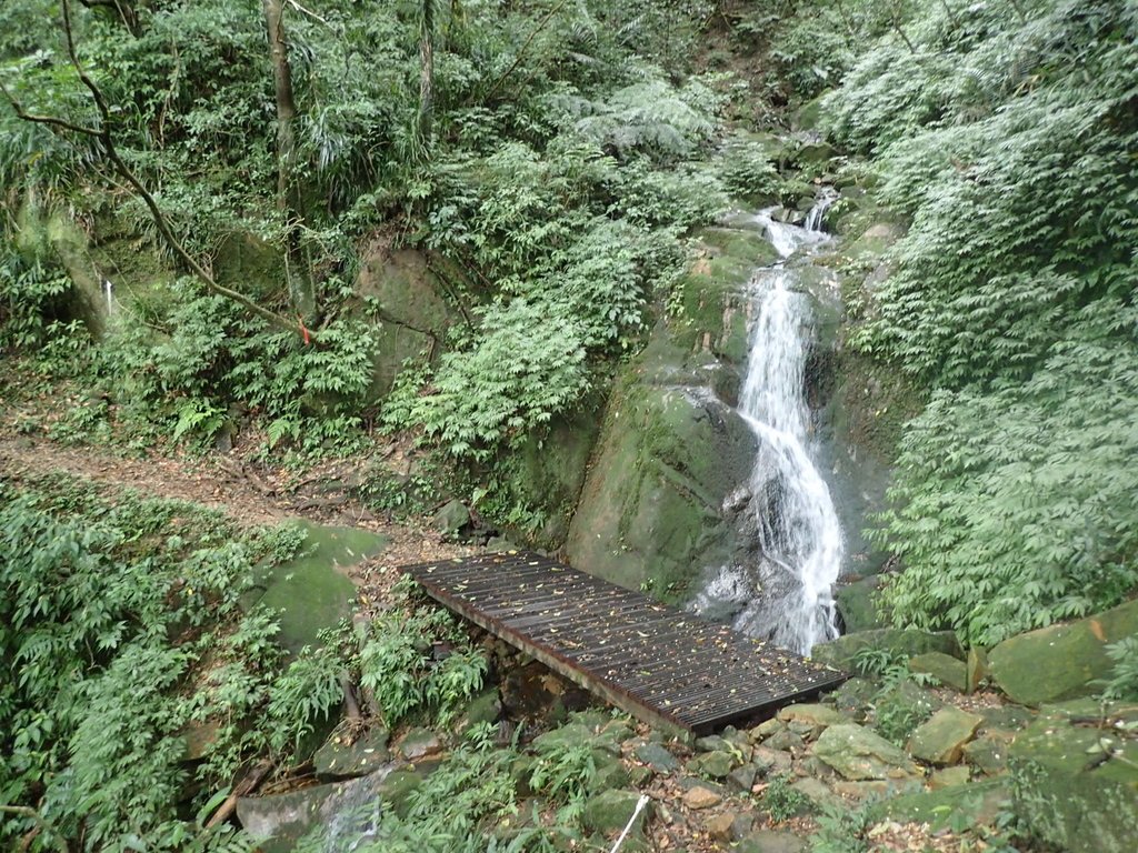 P1274451.JPG - 瑞芳  燦光寮古道初探