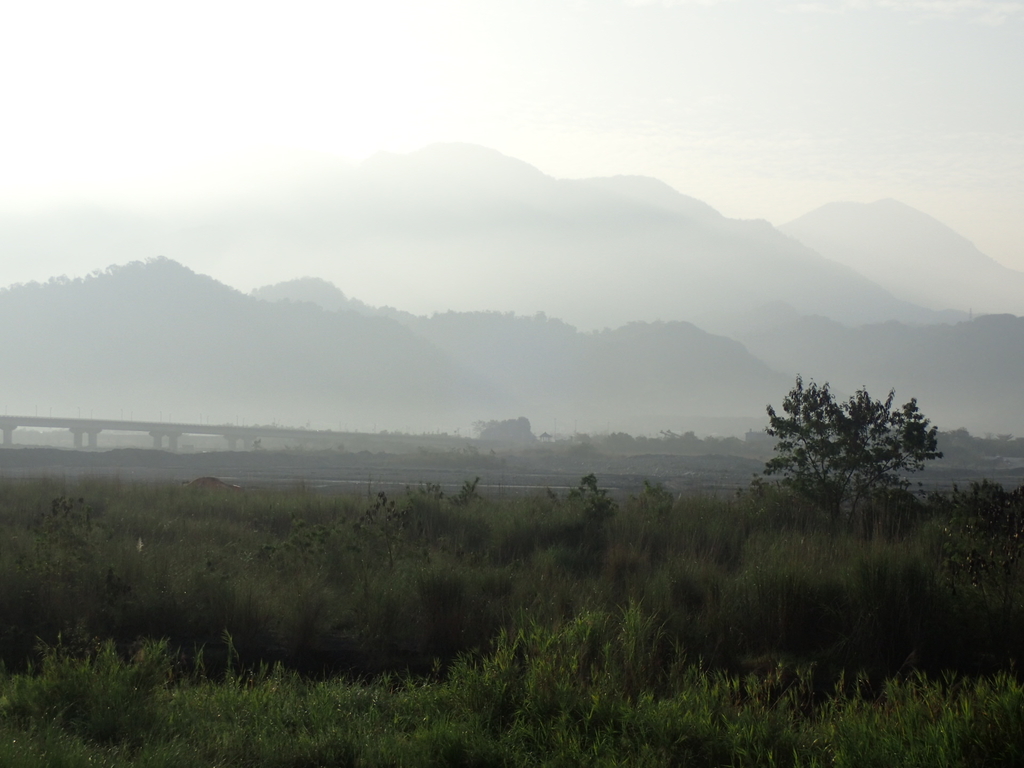 P1073082.JPG - 集集  集鹿大橋  晨光之美