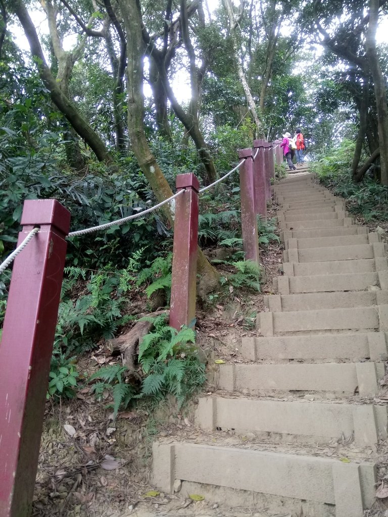 DSC_5163.JPG - 三峽  鳶山  (福德坑山)