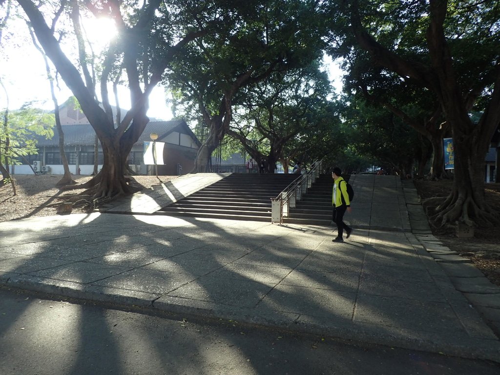 PA246564.JPG - 台中  東海大學校園巡禮