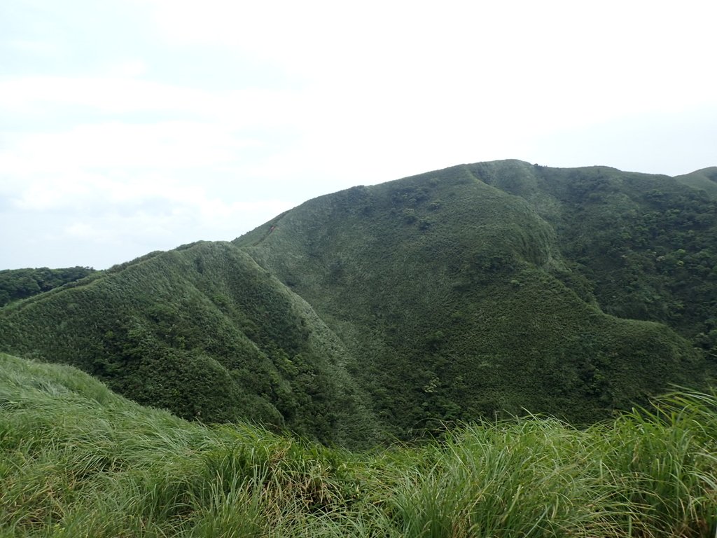 P5258760.JPG - 貢寮  桃源谷  灣坑頭山