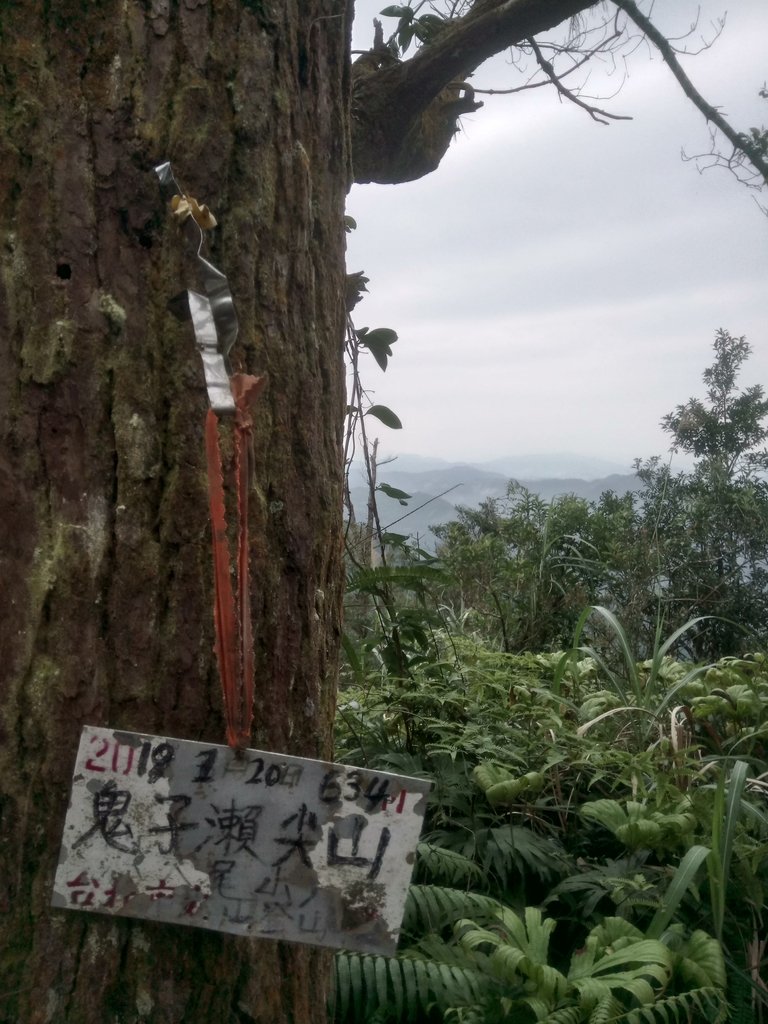 DSC_7179.JPG - 坪林  鬼子賴尖山