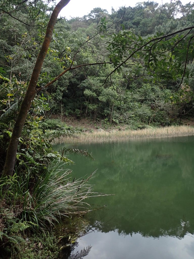 P3160106.JPG - 汐止  柯子林山  如意湖