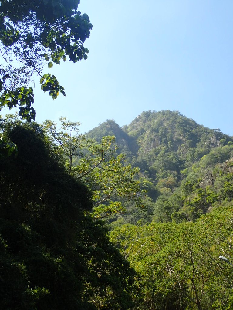 P2275987.JPG - 太平  暗影山(酒桶山)