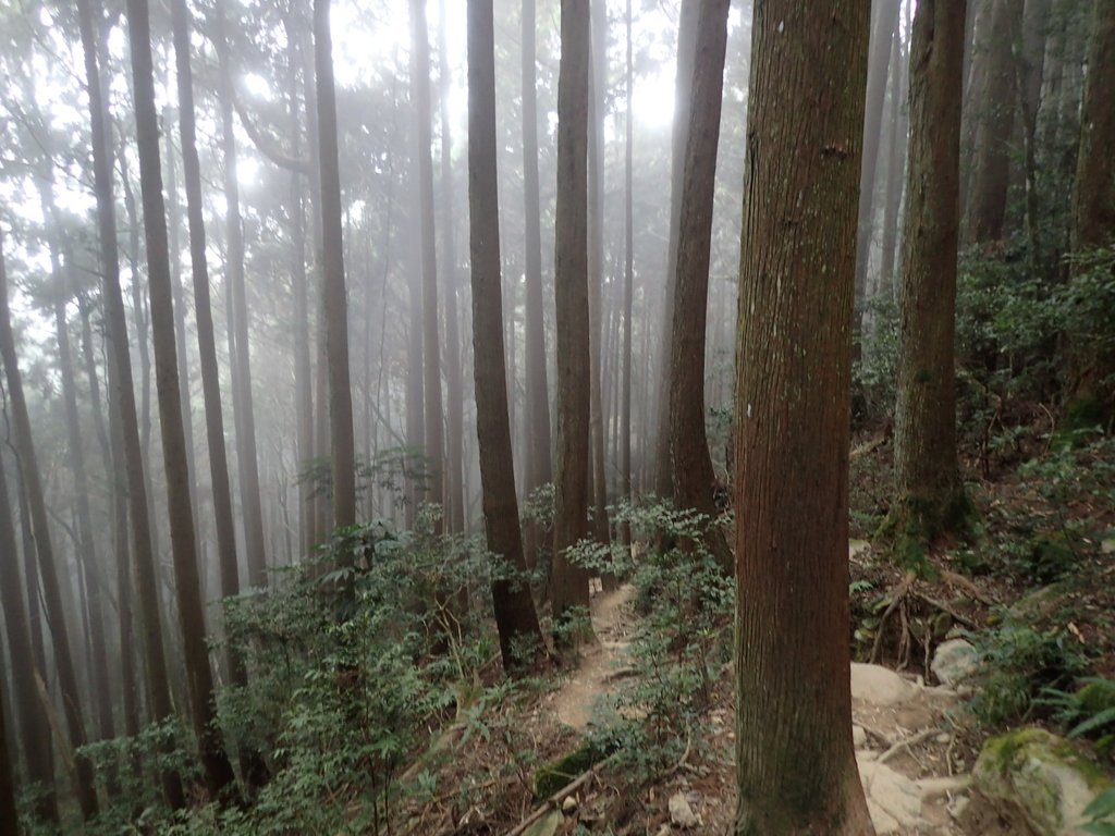 P2034948.JPG - 南庄  加里山  森林鐵道