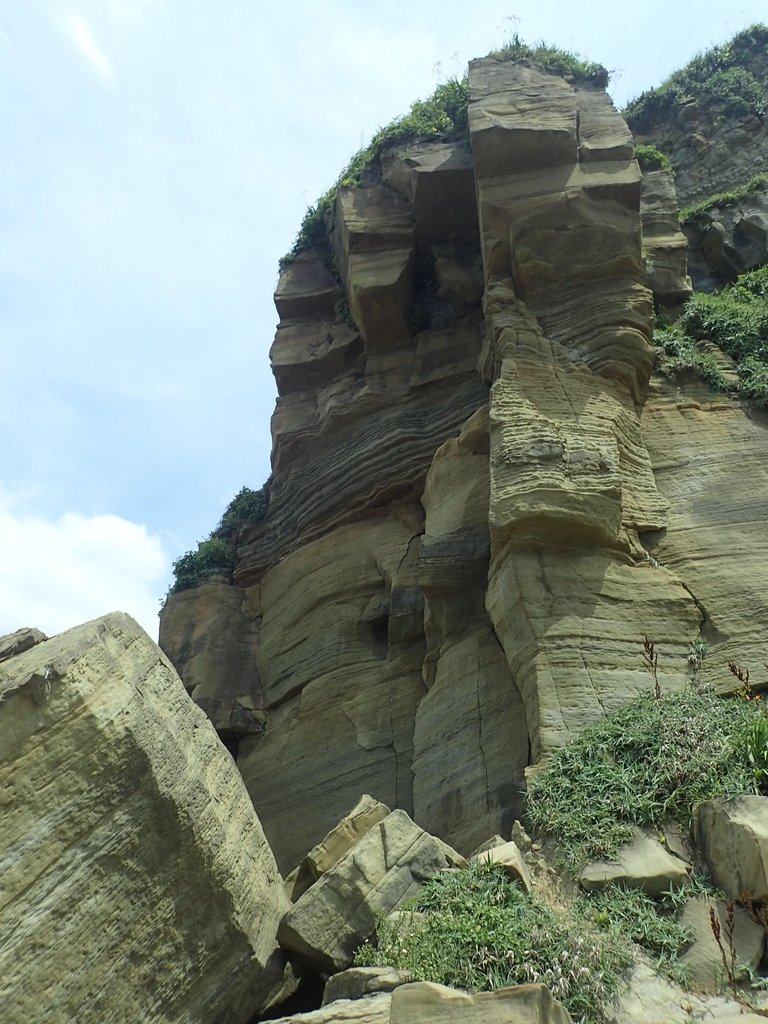 P6194644.JPG - 瑞芳  深奧神秘海岸之美