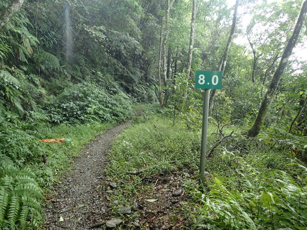 PA110724.JPG - 烏來  內洞林道