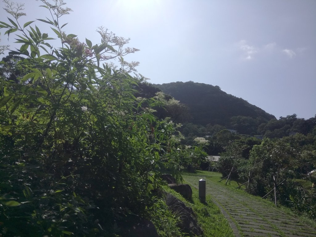 DSC_6921.JPG - 觀音山  風櫃斗湖登山步道