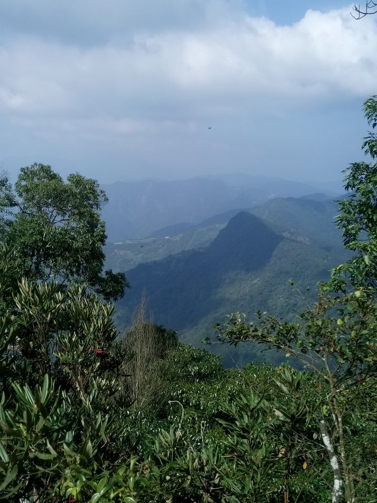 DSC_4100.JPG - 魚池  大尖山登山步道