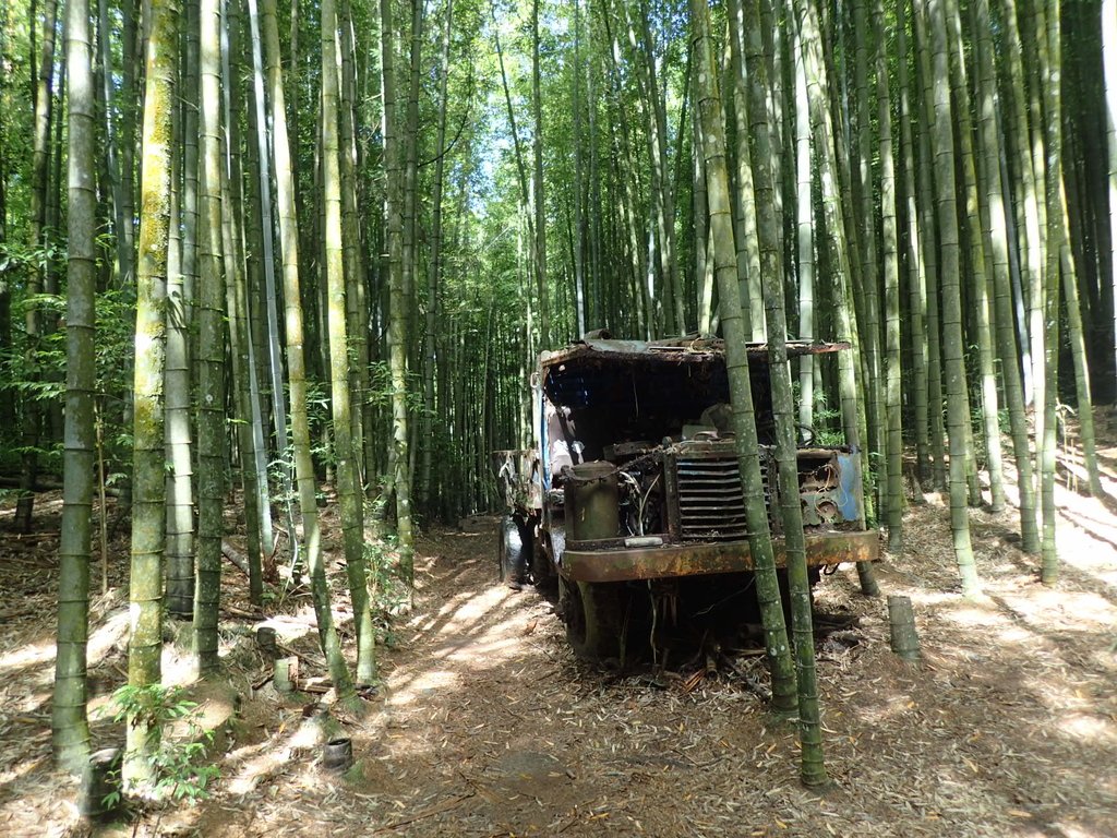 P7235844.JPG - 台中和平  長壽山登山步道  (中)