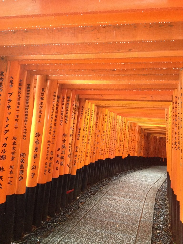 IMG_2635.JPG - 伏見稻荷神社  千本鳥居