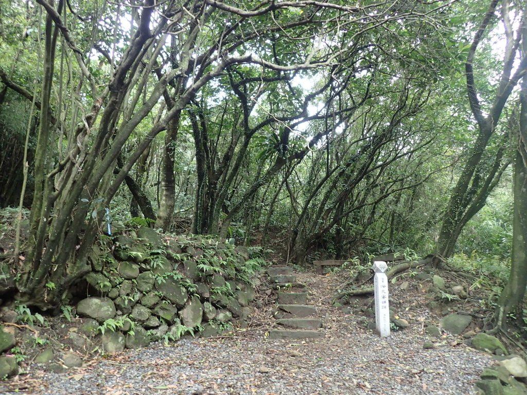 P1274447.JPG - 瑞芳  燦光寮古道初探