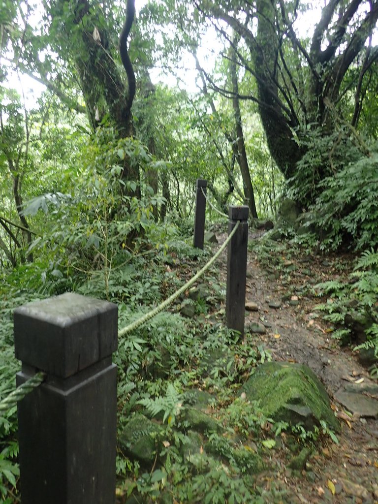 P1274454.JPG - 瑞芳  燦光寮古道初探