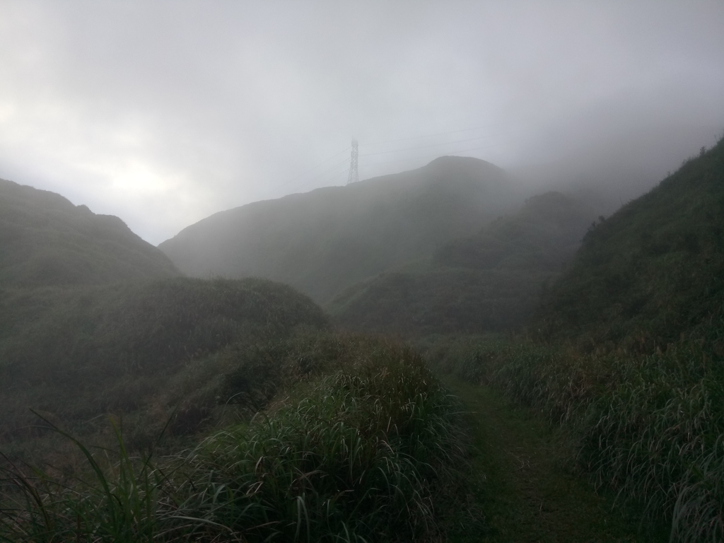 DSC_2829.JPG - 瑞芳  牡丹山