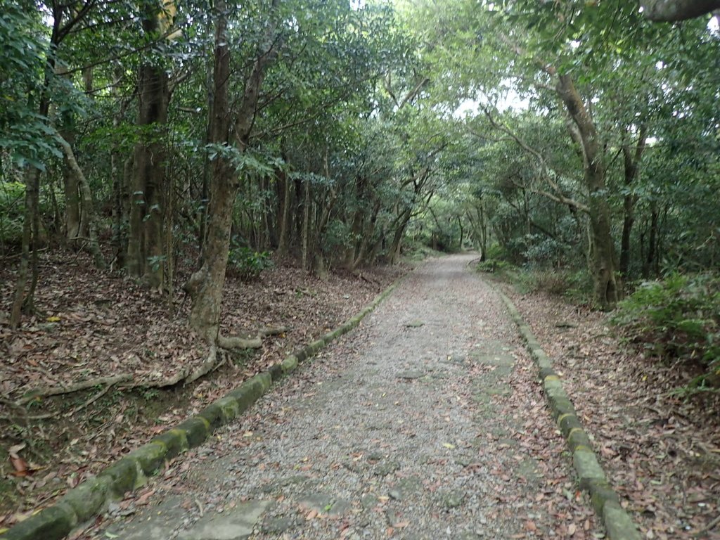 P2288749.JPG - 內湖  大崙尾山