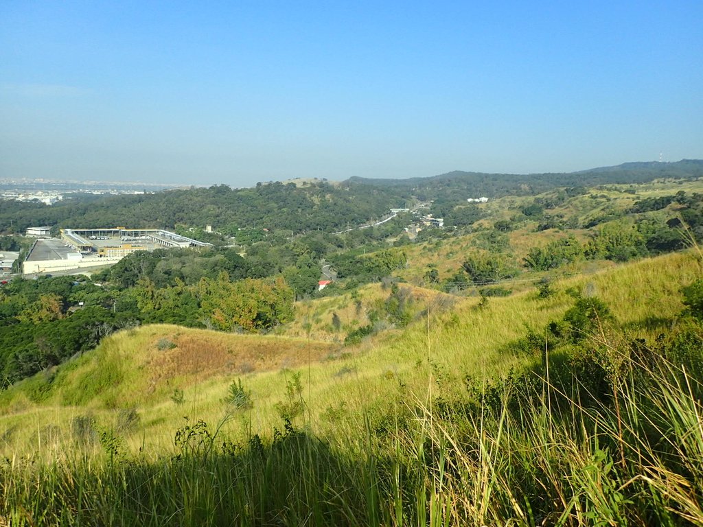 PA282015.JPG - 烏日  學田山登山步道