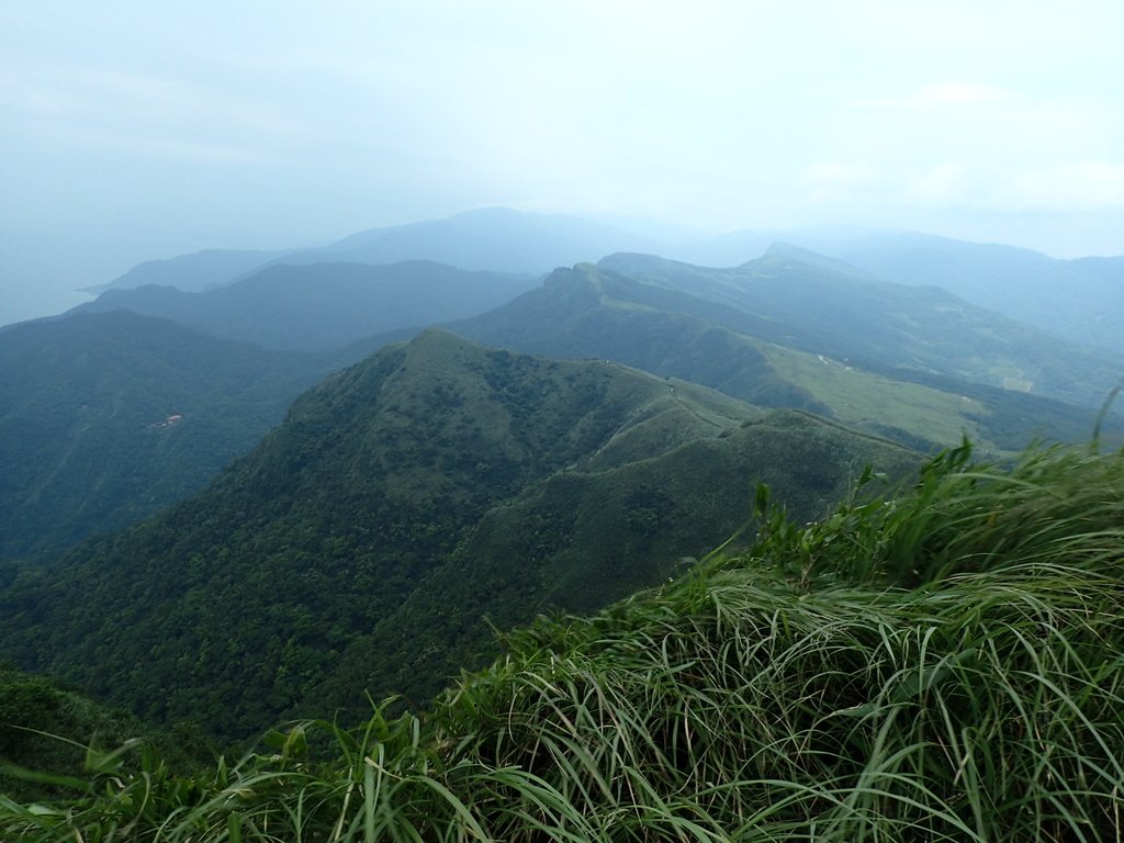 P5258766.JPG - 貢寮  桃源谷  灣坑頭山