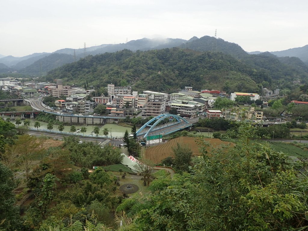 P3170358.JPG - 坪林  鬼子賴尖山