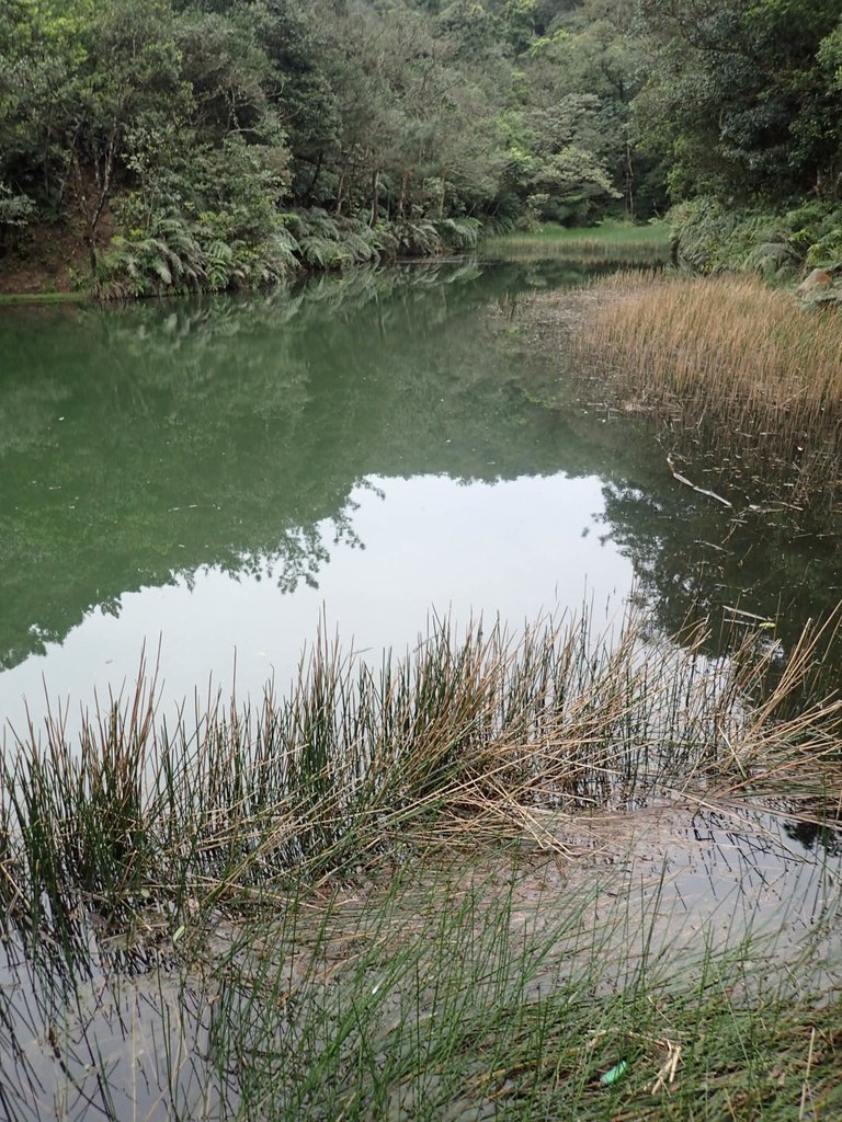 P3160124.JPG - 汐止  柯子林山  如意湖