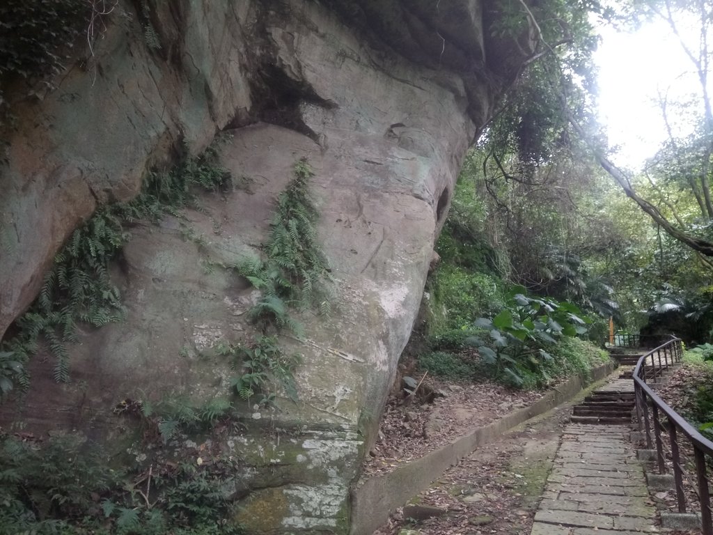 DSC_2775.JPG - 獅頭山  獅山古道  (02)