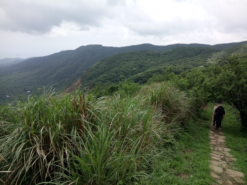 DSC_9345.JPG - 萬里  風櫃嘴  頂山