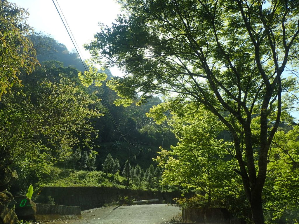 P2275992.JPG - 太平  暗影山(酒桶山)