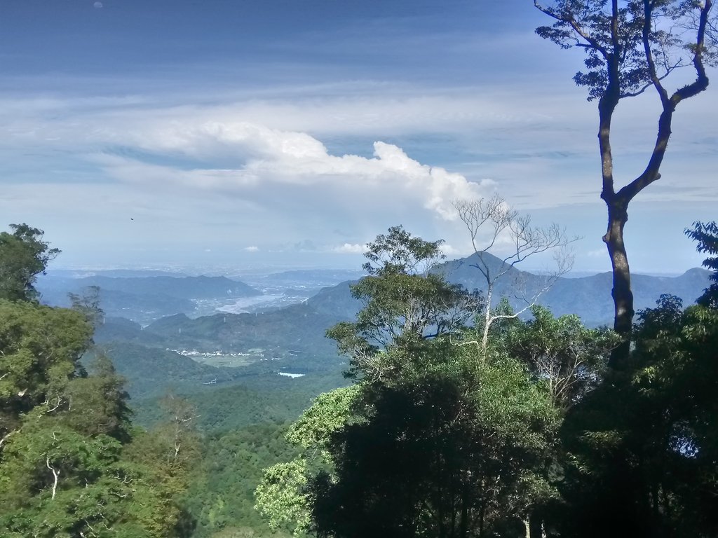 DSC_3777.JPG - 魚池  水社大山