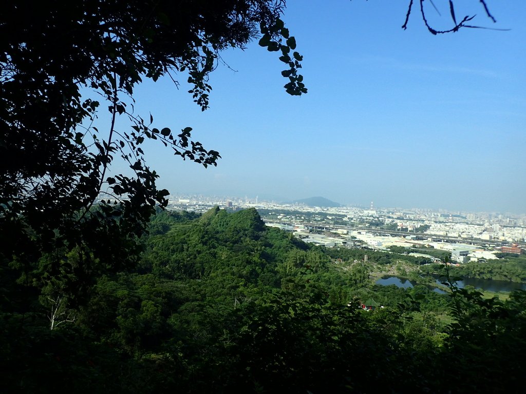 P9189170.JPG - 大社  觀音山步道