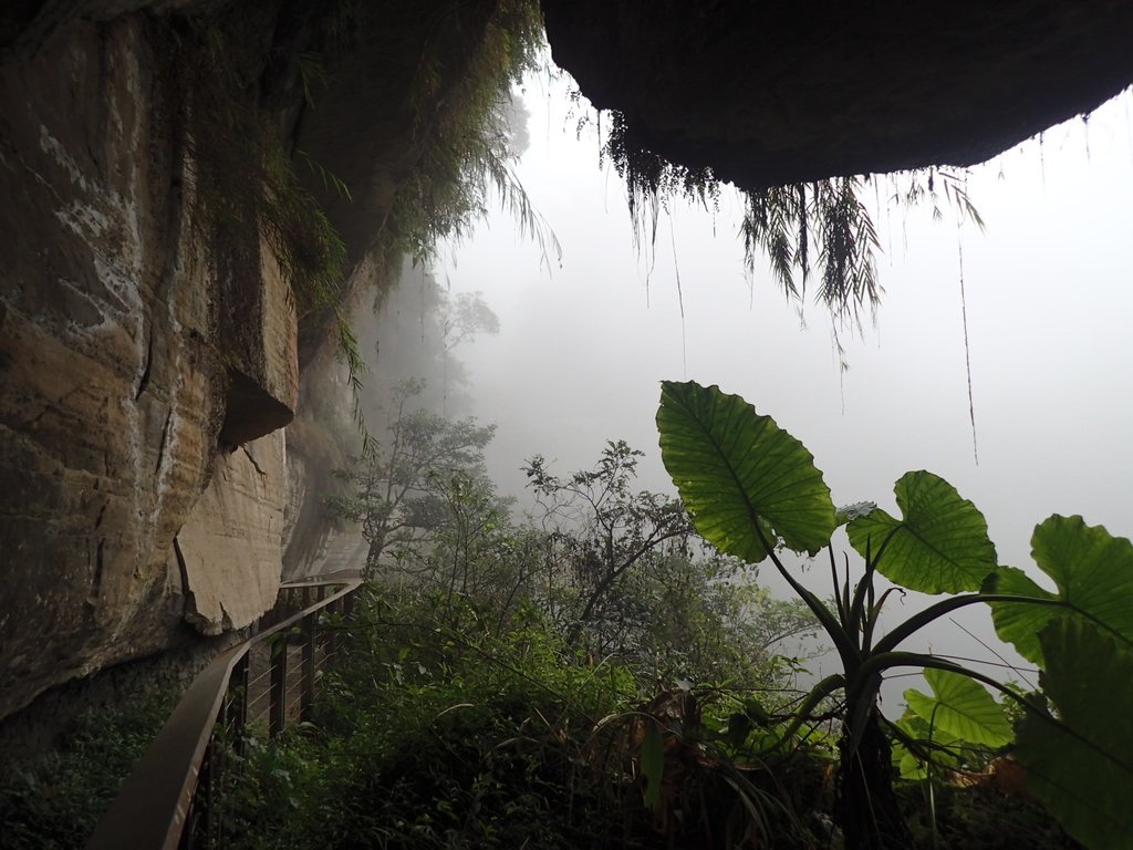 P1086447.JPG - 梅山  瑞峰村  竹坑溪步道