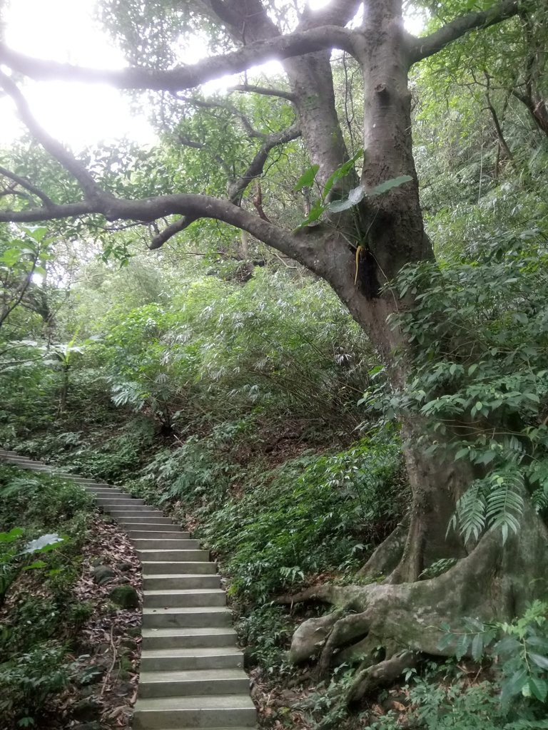 DSC_3066.JPG - 基隆  寶明寺