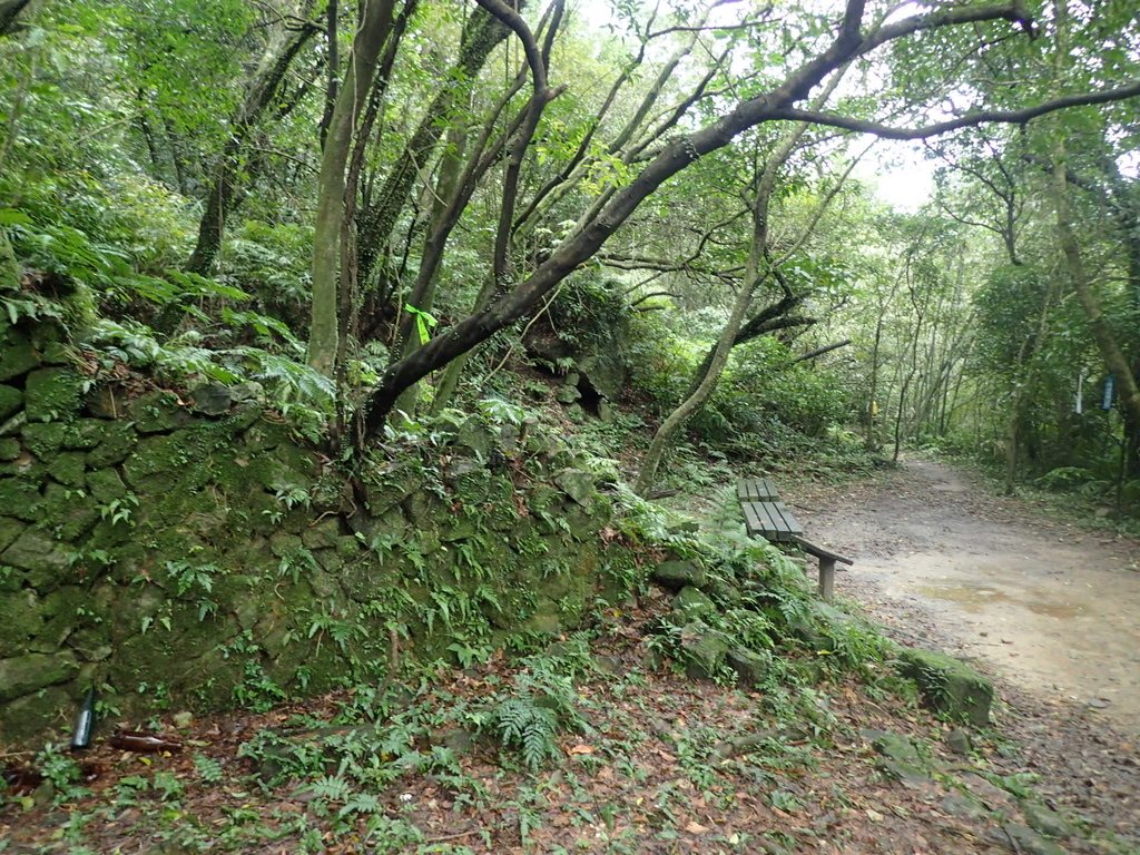 P1274373.JPG - 瑞芳  燦光寮古道初探