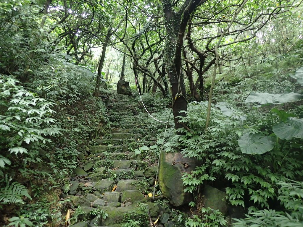 P1274458.JPG - 瑞芳  燦光寮古道初探