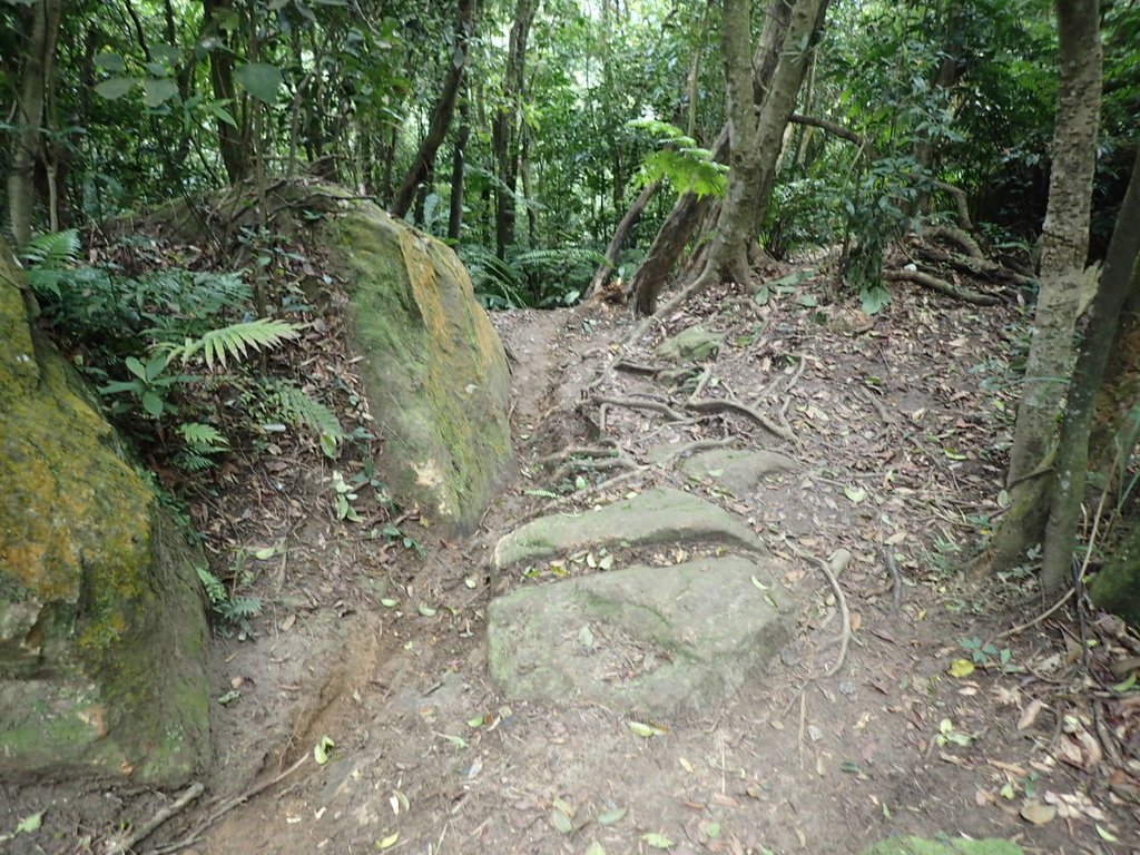 P2288755.JPG - 內湖  大崙尾山