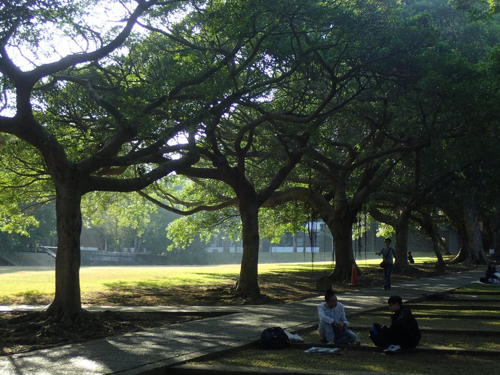 PA246578.JPG - 台中  東海大學校園巡禮