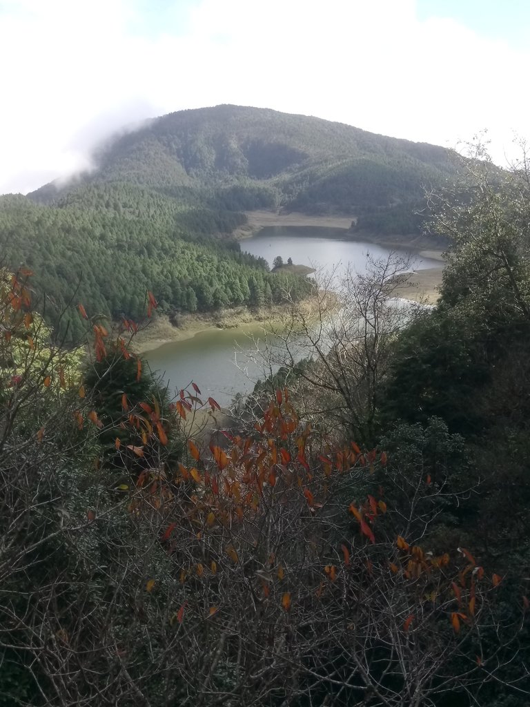 DSC_0106.JPG - 太平山  翠峰湖環山步道  01