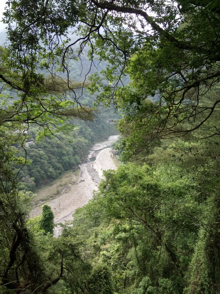 DSC_6445.JPG - 谷關七雄之  波津加山