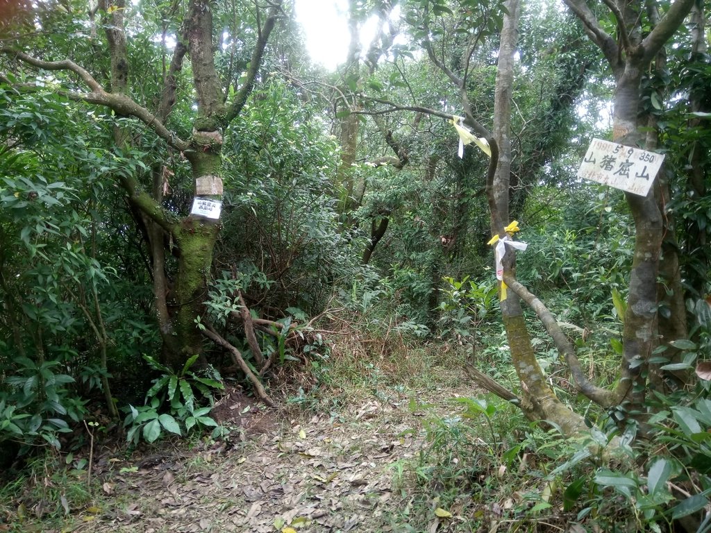 DSC_6020.JPG - 深坑  土庫岳登山步道  (01)